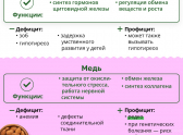 В Роскачестве рассказали о 12 важных микроэлементах: что нужно новороссийцам, чтобы чувствовать себя лучше
