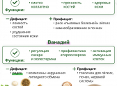 В Роскачестве рассказали о 12 важных микроэлементах: что нужно новороссийцам, чтобы чувствовать себя лучше