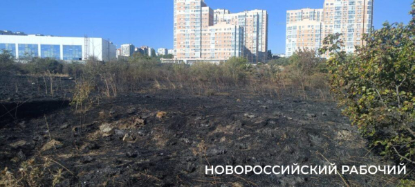 В Новороссийске потушили пожар в окрестностях особо охраняемой территории