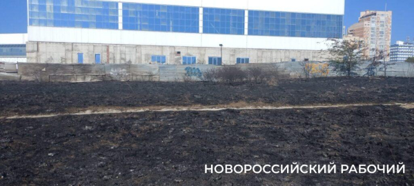 В Новороссийске потушили пожар в окрестностях особо охраняемой территории