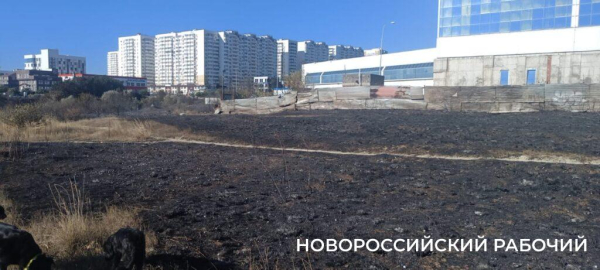 В Новороссийске потушили пожар в окрестностях особо охраняемой территории