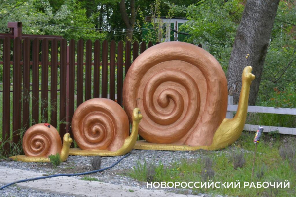 Сезон редчайшего деликатеса начался на ферме под Новороссийском — улитки мечут икру