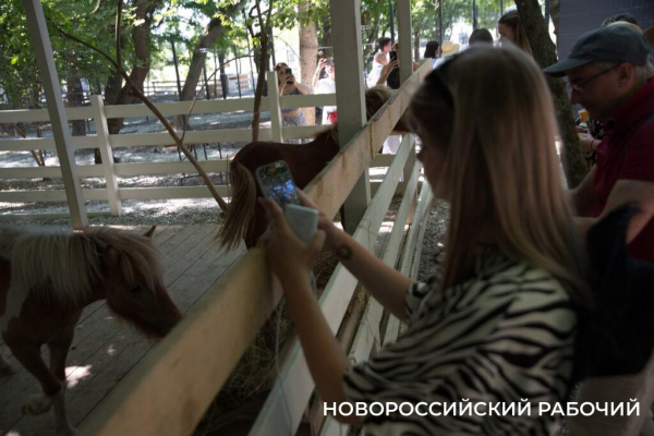Исполнить желание послать все на… и побегать за толстыми овцами. Куда поехать отдохнуть из Новороссийска