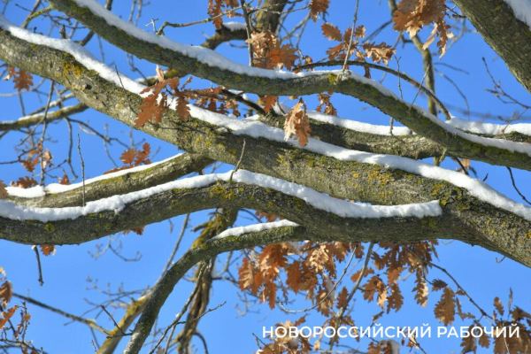 Одни новороссийцы радуются снегу, а другие – категорически против Одни новороссийцы радуются снегу, а другие – категорически против