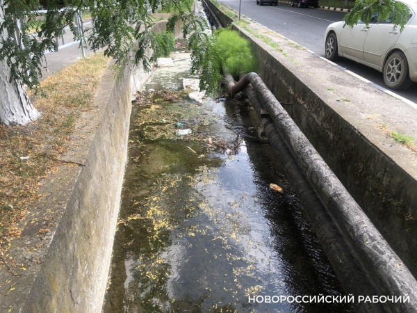 За ущерб бюджету Новороссийска в 2,3 миллиона рублей предприниматель может сесть на 10 лет