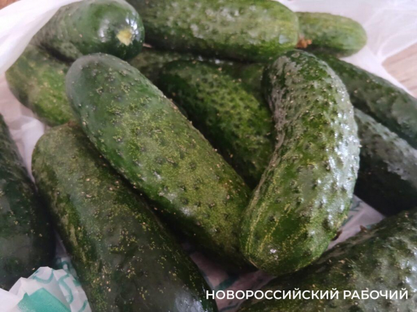 На рынке Новороссийска овощи отдают бесплатно, а в супермаркетах торгуют гнилыми