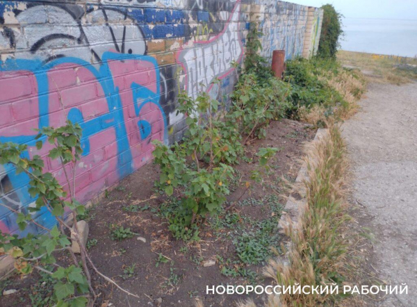 Выставлена на продажу самая знаменитая заброшка у моря под Новороссийском