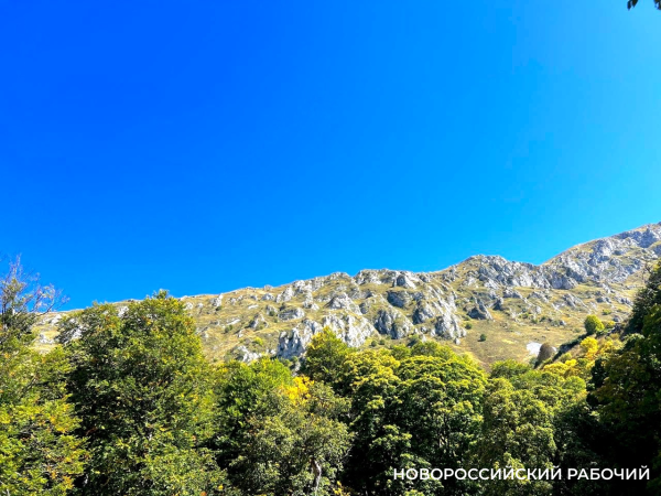 Советы дня на 31 октября: о работниках СИЗО, письме Хрущеву и «Наказе гражданину города Новороссийска» Советы дня на 31 октября: о работниках СИЗО, письме Хрущеву и «Наказе гражданину города Новороссийска»