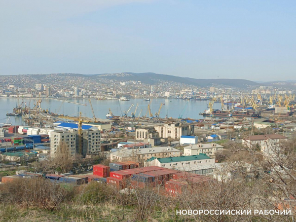 Советы дня на 18 июля: о непогрешимости, тайном голосовании и «Тетрисе»