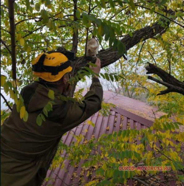 Понедельник для новороссийских спасателей начался с добрых дел