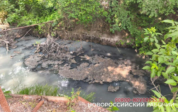 В Новороссийске возле пляжа поставили забор, чтобы… не воняло канализацией