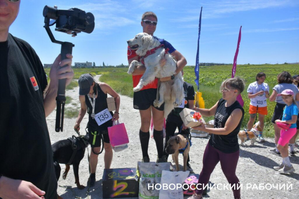В Новороссийске героиней забега стала собачка на трех лапках
