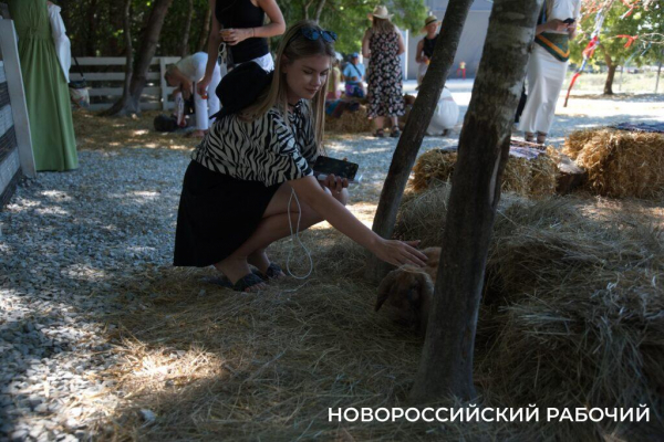 Исполнить желание послать все на… и побегать за толстыми овцами. Куда поехать отдохнуть из Новороссийска