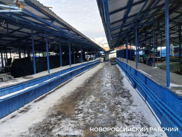 Рынок Новороссийска опустел из-за морозов Рынок Новороссийска опустел из-за морозов