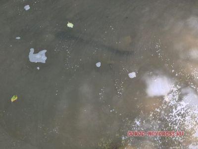 В Новороссийске в водопадах течет грязная вода со странными хлопьями