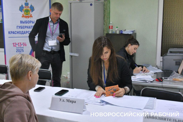 Почетные граждане Новороссийска, многодетные семьи, журналисты, — все идут на выборы