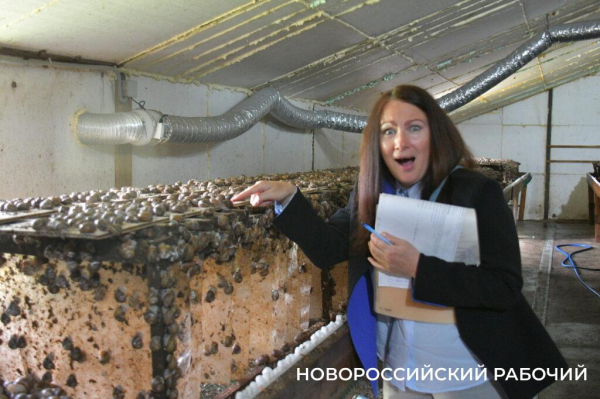 Сезон редчайшего деликатеса начался на ферме под Новороссийском — улитки мечут икру