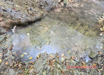 В Новороссийске в водопадах течет грязная вода со странными хлопьями