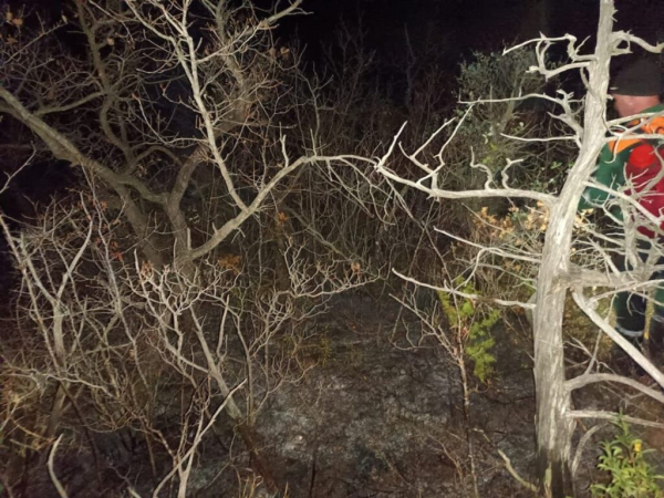 В пригороде Новороссийска потушили лесные пожары В пригороде Новороссийска потушили лесные пожары