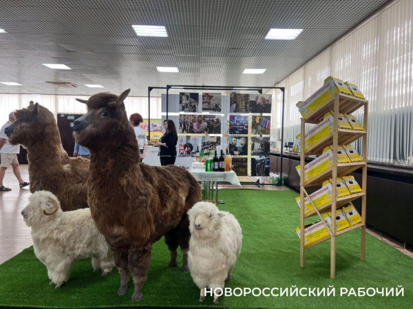 «Новороссийский рабочий» на Всероссийском форуме «Вся Россия -2025»
