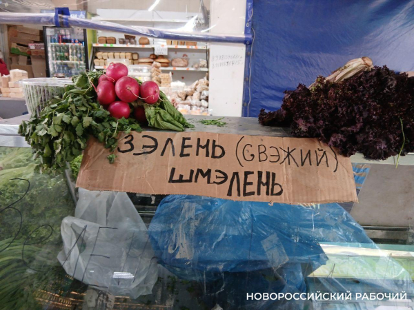В Новороссийске продается «зэлень – шмэлень». За креатив денег не берут! В Новороссийске продается «зэлень – шмэлень». За креатив денег не берут!