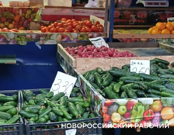 Новороссийцы встали в очереди — закупаются к новогоднему столу Новороссийцы встали в очереди — закупаются к новогоднему столу