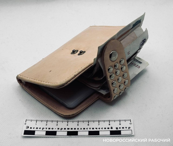 В Новороссийске приезжий похитил сумку  прихожанки храма