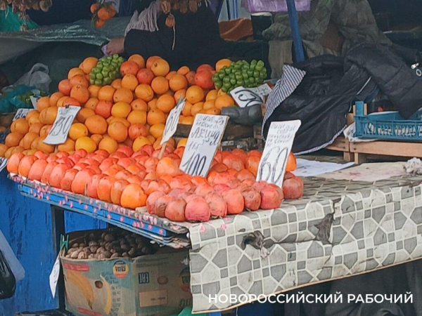Рынок Новороссийска опустел из-за морозов Рынок Новороссийска опустел из-за морозов