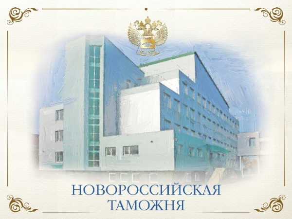 Новороссийские таможенники изъяли товары прямо с полок магазина