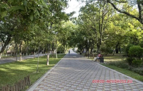 Новороссийск ностальгирует: жители вспомнили, каким раньше был парк Фрунзе Новороссийск ностальгирует: жители вспомнили, каким раньше был парк Фрунзе