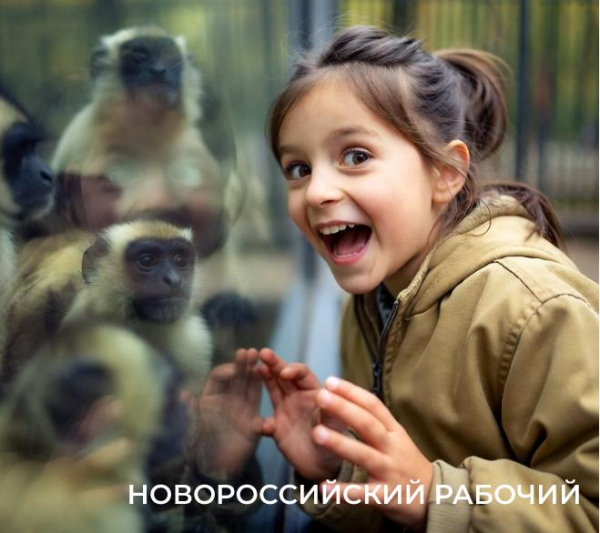 Где провести выходные, если хочется уехать из Новороссийска: зоопарк, дольмены, «Наташа» и «Львиная голова» Где провести выходные, если хочется уехать из Новороссийска: зоопарк, дольмены, «Наташа» и «Львиная голова»