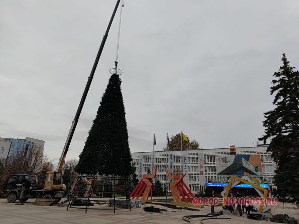 Стало известно, когда в Новороссийске поставят главную городскую елку Стало известно, когда в Новороссийске поставят главную городскую елку