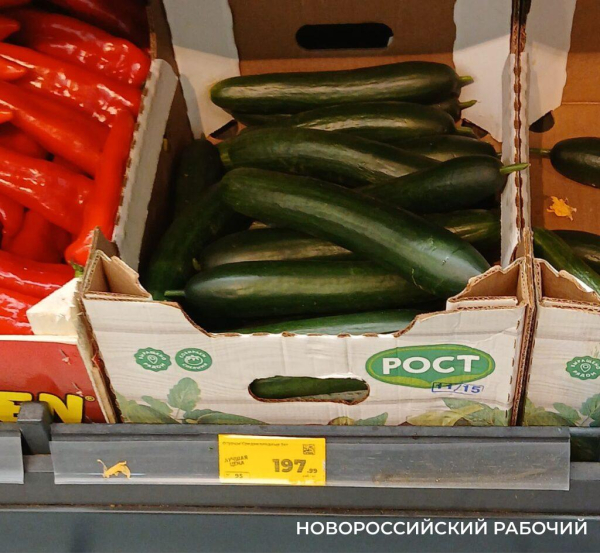Новороссийцы встали в очереди — закупаются к новогоднему столу Новороссийцы встали в очереди — закупаются к новогоднему столу