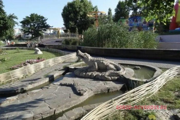 Новороссийск ностальгирует: жители вспомнили, каким раньше был парк Фрунзе Новороссийск ностальгирует: жители вспомнили, каким раньше был парк Фрунзе