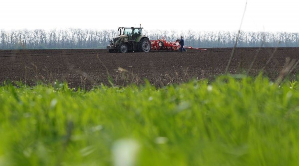 Треть сельхозпродукции на Кубани производят фермеры